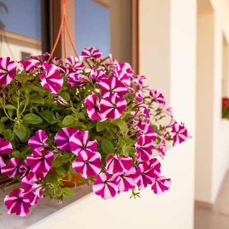 Dafni Villa 19 Paralimni Exterior foto