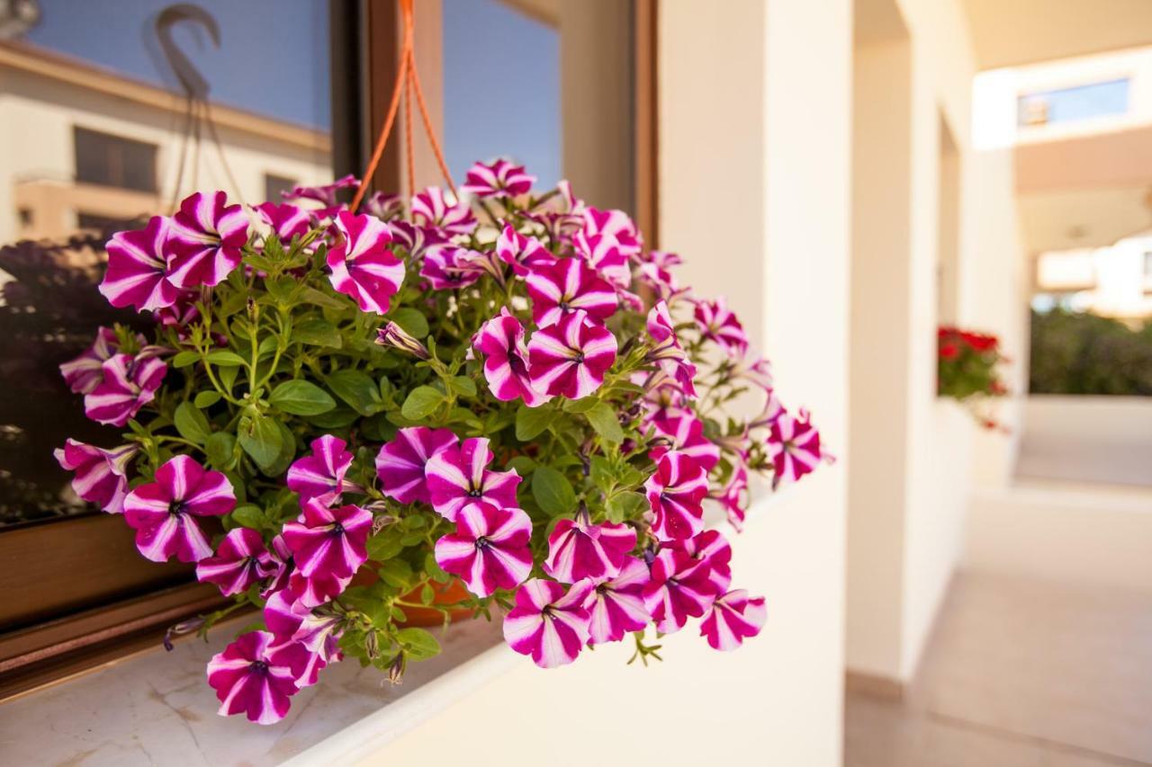 Dafni Villa 19 Paralimni Exterior foto